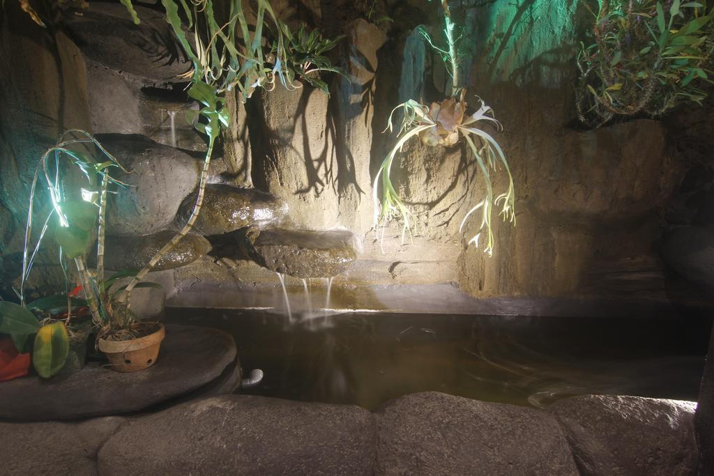 Apartmán Oes House Ubud Exteriér fotografie